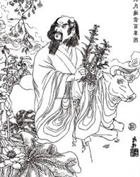 Shennong, Timişoara