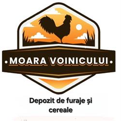 Depozituldefuraje.ro, Roman