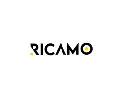 Ricamo, Sibiu