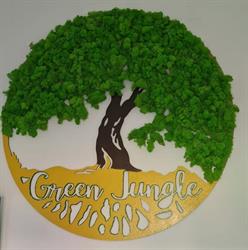 Green Jungle, Timişoara