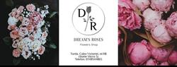 Dream's Roses, Turda