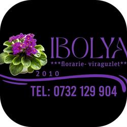 Floraria Ibolya Viraguzlet, Săcele