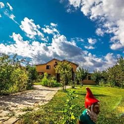 Party House Bulbucata