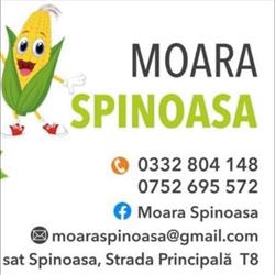 Moara Spinoasa