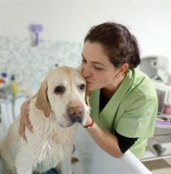 MushyPet Frizerie Canina, Piatra-Neamţ