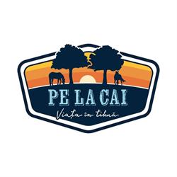 Pe La Cai, Cisnădie