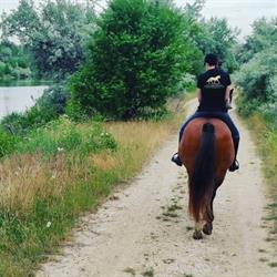 Horseland Năvodari, Mamaia