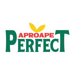 Aproape Perfect, Pantelimon