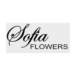 SOFIA Flowers, Piatra-Neamţ