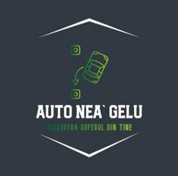 Scoala De Soferi Auto Nea' Gelu, Timişoara