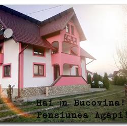 Pensiunea Agapi, Suceviţa