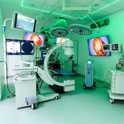 Centru de Endoscopie si Chirurgie Minim Invaziva Veterinara, Bucureşti