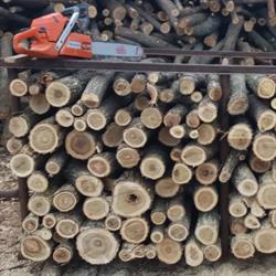 Depozit cherestea şi lemn de foc Ţăndărei