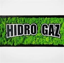 Hidro Gaz Grup, Geamăna