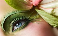 Green Beauty, Ploieşti