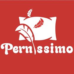 Curăţătorie perne Timişoara
