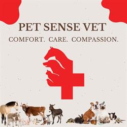 Cabinet Veterinar Pet Sense Vet Câmpina