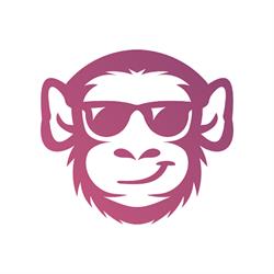 Zoo Digital - Agenţie SEO şi Dezvoltare Web, Alba Iulia