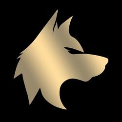 Wolf Concept, Oradea