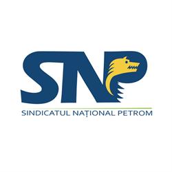 SNPetrom, Blejoi