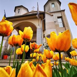 Biserica Naşterea Maicii Domnului, Eforie Nord
