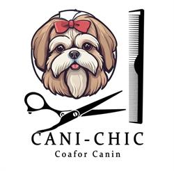 Cani-Chic, Braşov