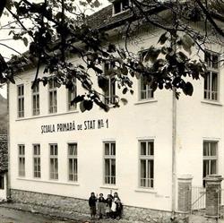 ŞCOALA CLASELE I-VIII RÂU SADULUI, Râu Sadului
