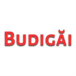 Budigai, Cluj-Napoca