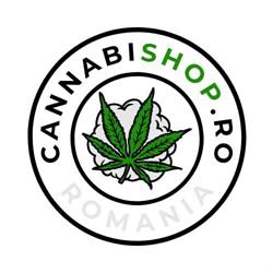 CannabiShop Romania, Oradea