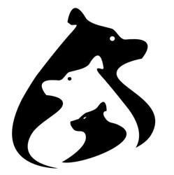 Creative Bear, Sibiu
