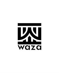 Waza Spa, Timişoara