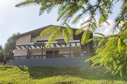 Magic View Chalet, Bicaz-Chei