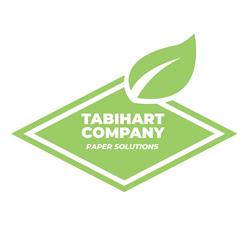 Fabrica de hartie - Tabihart Company, Adjud