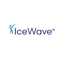 IceWave, Timişoara