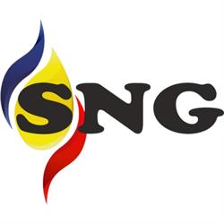 SNG Solutions, Oneşti