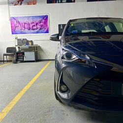Anasi Auto Paint, Codlea