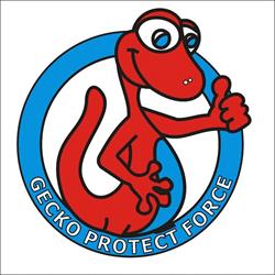 Gecko Protect Force, Cluj-Napoca