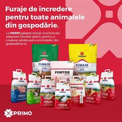 Kordum - furaje si concentrate, Constanţa