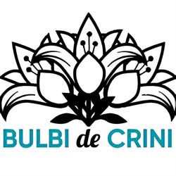 Bulbi de Crini Câmpulung Moldovenesc