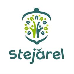 Creşa Stejărel, Bucureşti