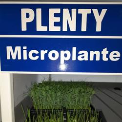 Plenty Microplante, Petrila