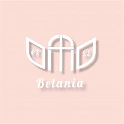 Biserica Penticostală Betania, Sebiş