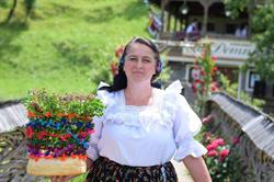 La Domnita, Poienile Izei