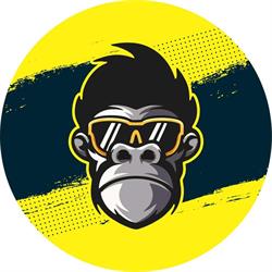 Monkeylab Art Official, Piatra-Neamţ