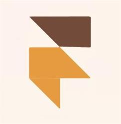 Fast Development Solutions, Bistriţa