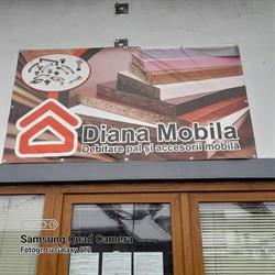 Diana Mobila, Reghin