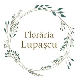 Floraria Lupascu, Roznov