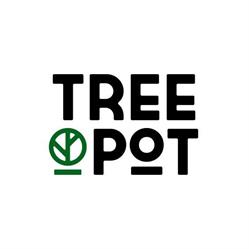 Tree Pot, Braşov