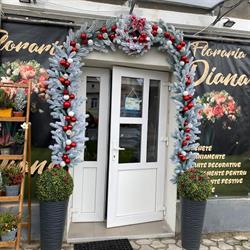 Florăria Diana, Rupea