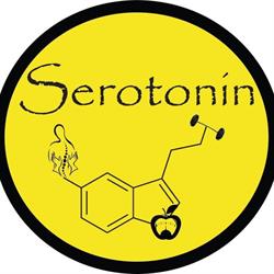 Serotonin Massage Therapy, Alba Iulia
